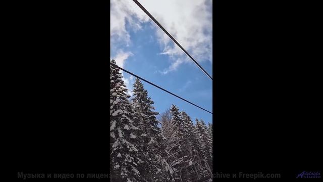 Природа, увиденная через призму тёмной энергии - технологии раскрывают тайны! - Zach Wolf-04Kids-May