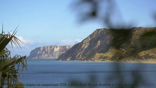 Почему Илон Маск ставит это видео на репит - Blue Lagoon -- King Elizabeth -- Miami