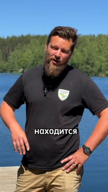 карьеры Шапки
Место где отдыхают..