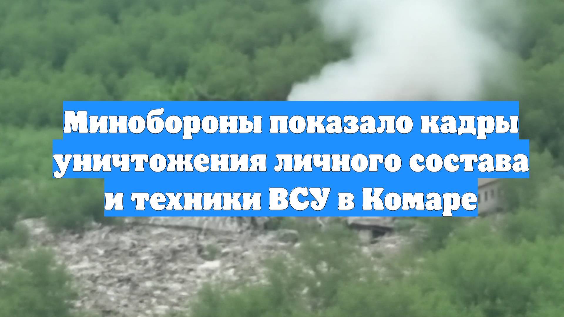 Минобороны показало кадры уничтожения личного состава и техники ВСУ в Комаре