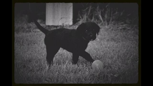 Лаберндудли