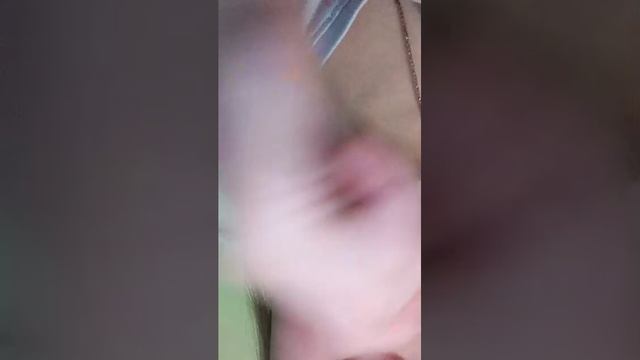 продолжение просмотра хомяк больной 2 часть
