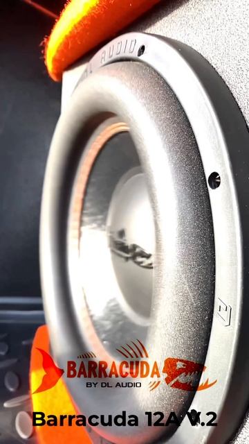 Мощный активный сабвуфер в закрытом ящике от компании DL Audio серии Barracuda 12A V.2