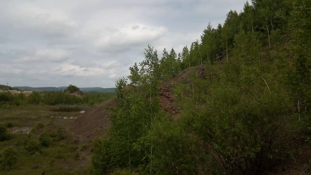 Природа в блези поселка "Амурск".