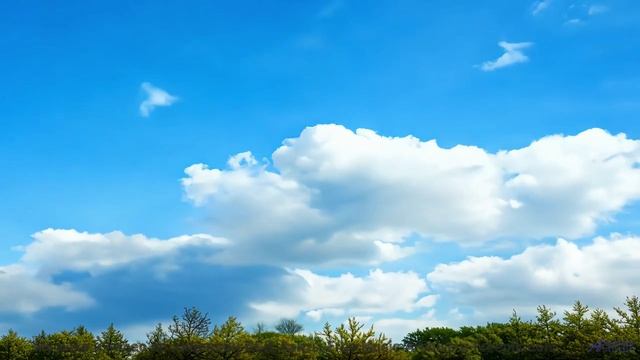 Музыка для поцелуев на крыше машины где-то посреди бескрайних полей - A Leap Too Tall -- Sea Offs --