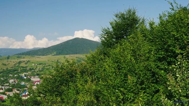Здесь НЕЛЬЗЯ купаться после заката! - Pride -- Ketsa -- The New World