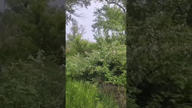 1000137238.mp4