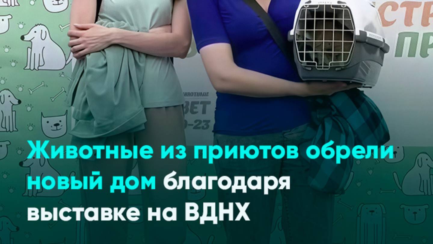 Животные из приютов обрели новый дом благодаря выставке на ВДНХ