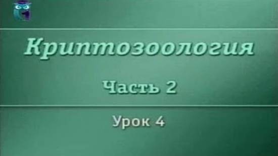 Криптозоология # 2.4. Ужасные вампиры и хищники Нового Света