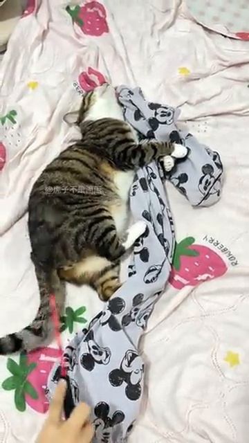 Принцип передачи энергии ч.2