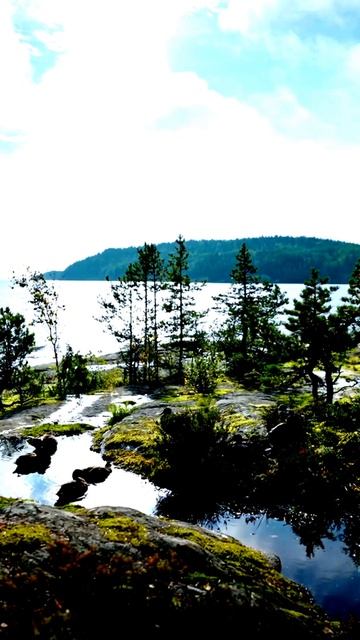 Камера попала в эпицентр событий