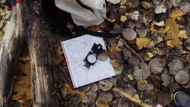 В голове остаётся только один вопрос - как такое возможно - Baby Doll -- Duncan Reid and the Big Hea