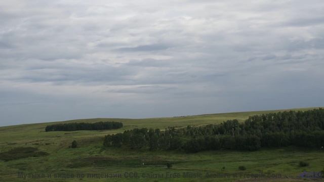 Саунд накрывает с головой, а природа добивает красотой - Hot Chip -- Podington Bear -- Homage Fromag