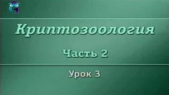 Криптозоология # 2.3. Гигантские ленивцы, броненосцы и анаконды