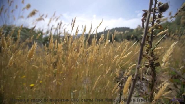 Эта мелодия повышает IQ - научно доказано! - j-aime la musique -- Jean Toba -- first times