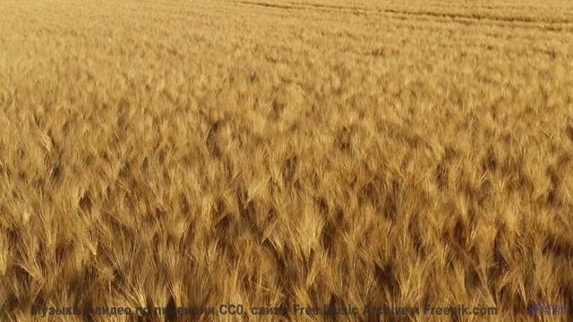 Музыка, которая звучит как ночь, полная страсти... - Songwriter for Life -- Taylor Poe -- Quiet Soun