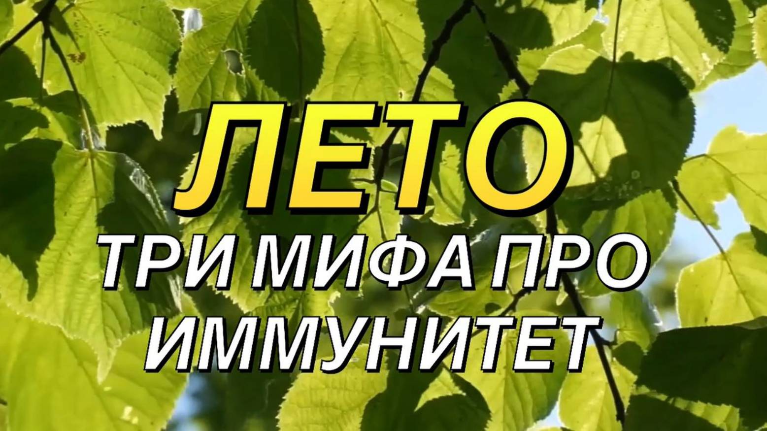 Лето и иммунитет