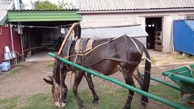VID-20250615-WA0016