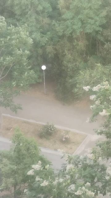 У нас в Волгодонске  включили свет днем в сквере