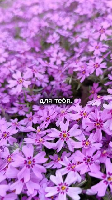 Мудрость жизни для жизни