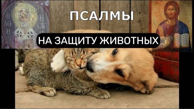 НА ЗАЩИТУ ЖИВОТНЫХ. ПСАЛОМ 66, ПСАЛОМ 83, ПСАЛОМ 87, ПСАЛОМ 90.