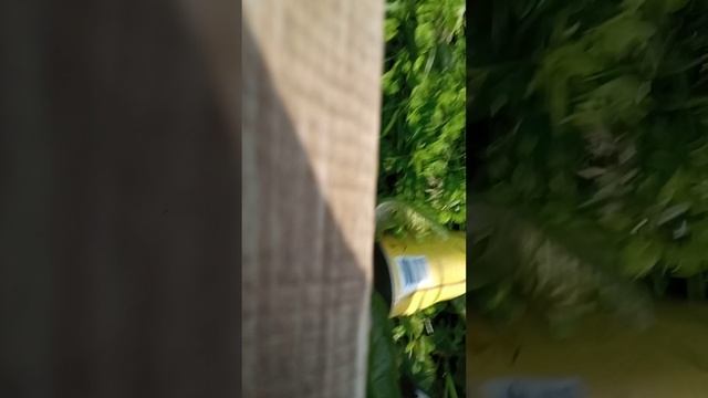 Догонялки