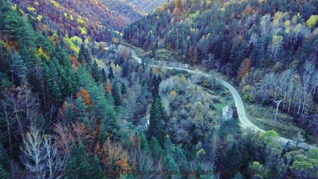 Эти леса под эту музыку - восторг - Back On The Road Again -- Scott Holmes Music -- Music for TV + F