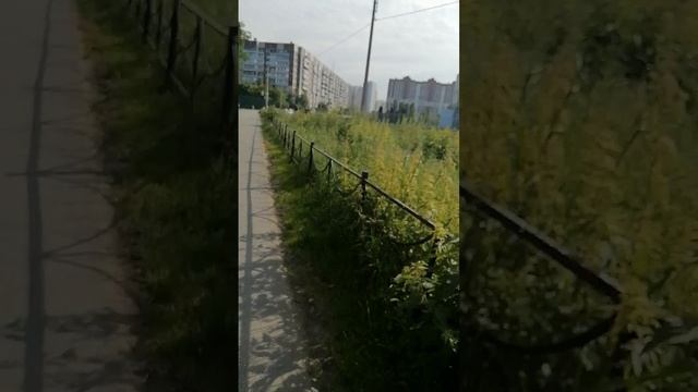 Творчество