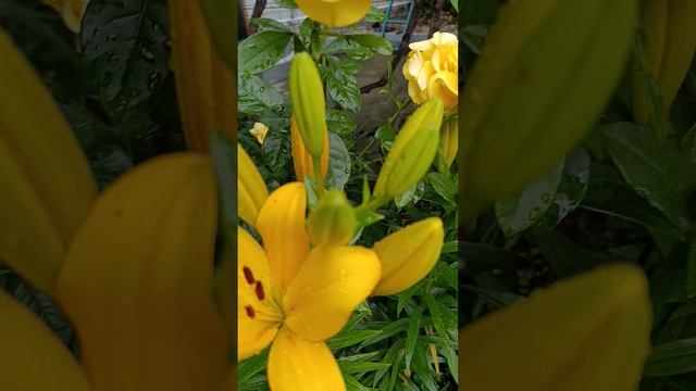 1000003725.mp4