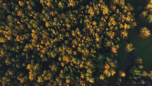 Звуки, используемые для материализации мыслей - это уже реальность! - Come and Get It -- Scott Holme