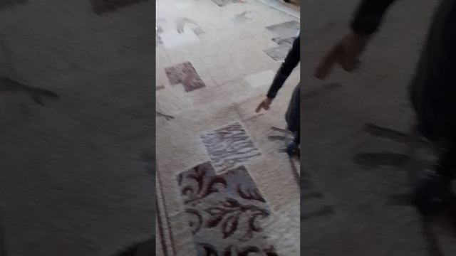 милый котик 5 серия 3 сезона