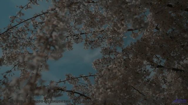 Эти пейзажи созданы для того, чтобы влюбляться снова и снова... - Acoustic Indie Folk -- Scott Holme