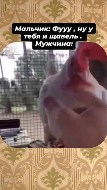 пацаны щавель трепим