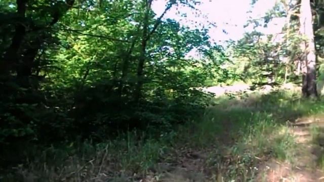 САМВЕЛ АДАМЯН, ОБМАН С БОЛЕЗНЬЮ ЛЕШИ, У СЫТНИКОВ ЗАВОНЯЛАСЬ КАРТОШКА..