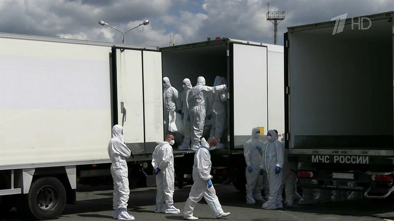 Россия передала Украине 1248 тел военнослужащих ВСУ