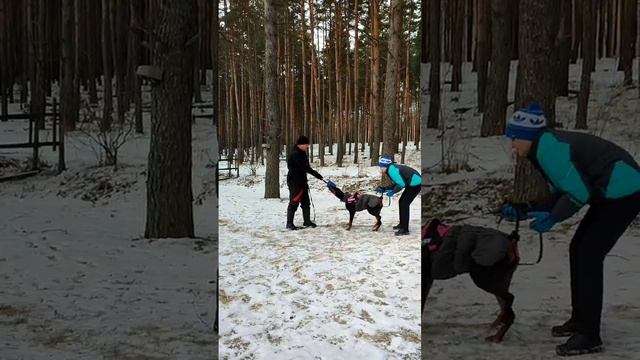 ЗКС