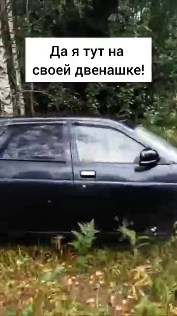 В ДЕБРИ