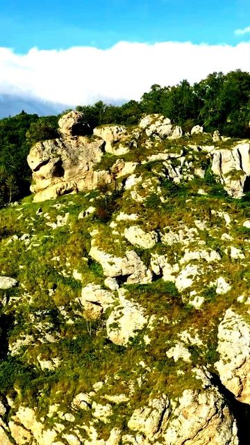 Камера запечатлела