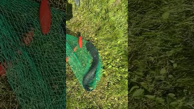1000061021.mp4
