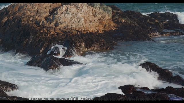 Музыка, которую не рекомендуют слушать слабонервным! - You Loved Me Once -- HoliznaCC0 -- Lo-fi And