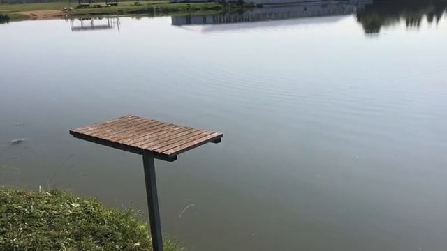 поимка карпа на большом водоёме