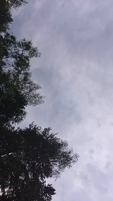 scene_output.mp4