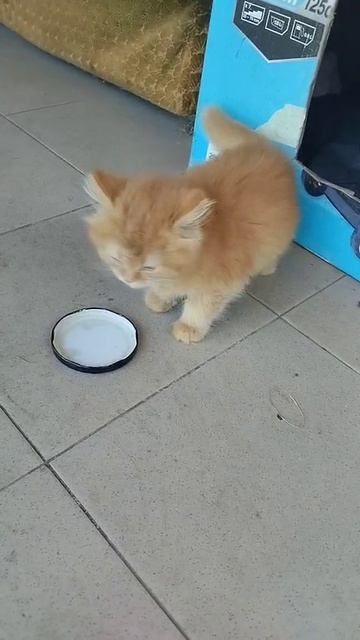 милий
