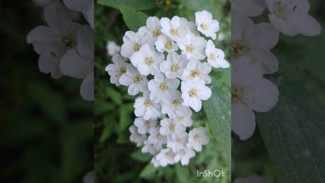 мой Крым-для меня
