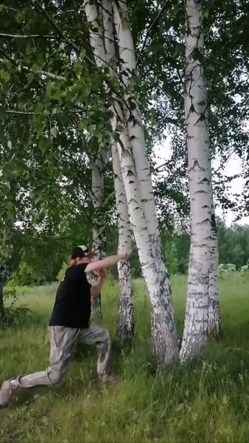 Вечерний "Дзен"