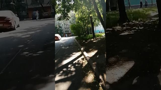 Радость и солнце