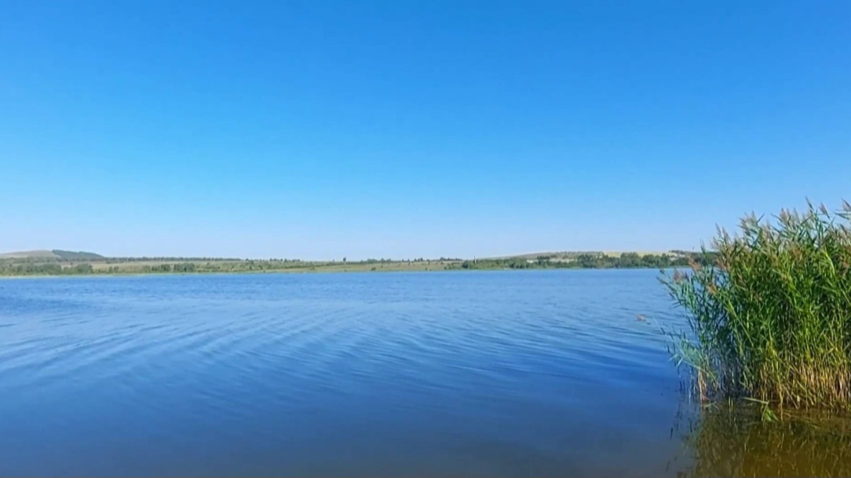 Кривинский сосновый бор.Отдых на озере .Озеро Тагарское .Минусинск