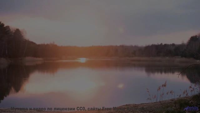 Включите и потеряйтесь в этом зелёном раю! - Zach Wolf-01Alive-May 2017-LIVE -- Zach Wolf -- Live at