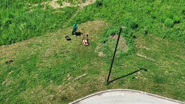 Травы нет, но вы держитесь! 🤔 (О)трава здравого смысла 🤯