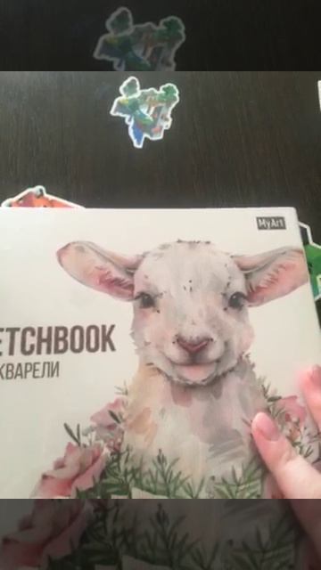 Скечбук и конструктор куруми.